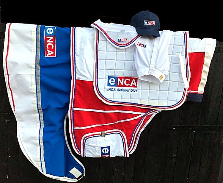 eNCA horse set